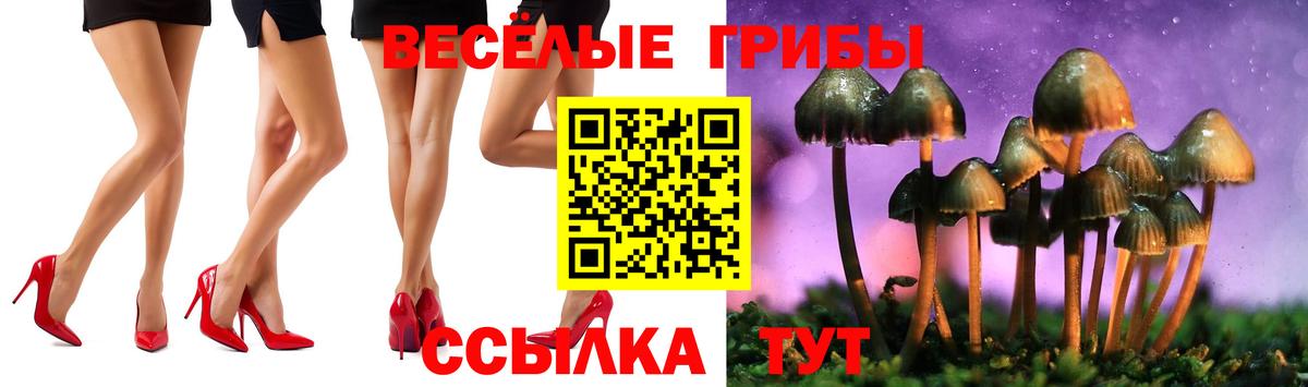 Галлюциногенные грибы GOLDEN TEACHER  Вход с VPN  Октябрьский  Псилоцибиновые грибы ЛСД 